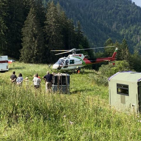 Le festival Pastoralismes et Grands Espaces 2025